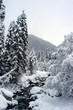 dombai - fantastick&eacute; roh kavkaz
