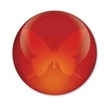 schmetterling button
