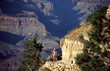 remontée du grand canyon