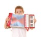 accordion boy 24
