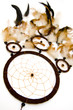dreamcatcher isolated on white background