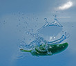 watery touchdown