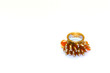 i love you on the ring of hearts
