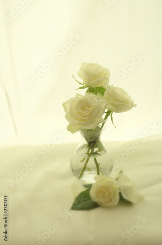Photo: romantic cream roses romantic cream roses