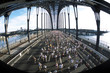 Photos : marathon run sydney 01