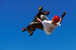mountainboarding 01