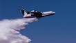 water bombardier