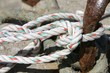 noeud marin - fishing net - rope - knot