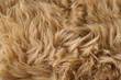 artificial fur artificial fur