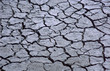 the drought