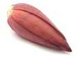 bananen hertz bananen hertz