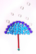 umbrella