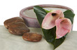 ikebana