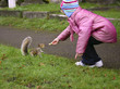 girl feeding squirrel girl feeding squirrel