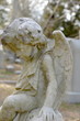 small angel