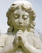 small angel