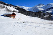 vacances au ski