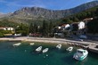 boats