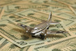 flugzeug und dollars