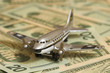 flugzeug und dollar