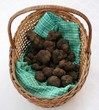 paniére de truffe