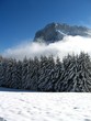 le granier (france