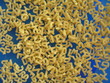 alphabet en pâtes alimentaire