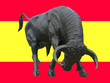taureau
