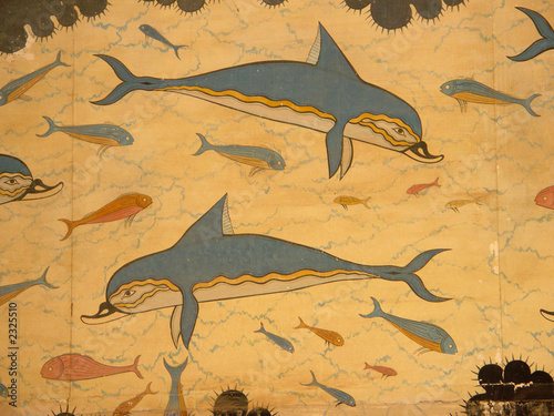 les dauphins