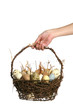easter basket easter basket