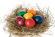 ostereier nest