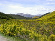 jollies pass nz