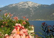 italien - italy