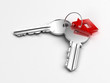 Photo : two silver keys with red house figure