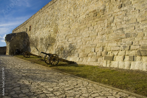 castle of eger