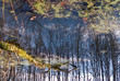 fantasy of reflection (2)