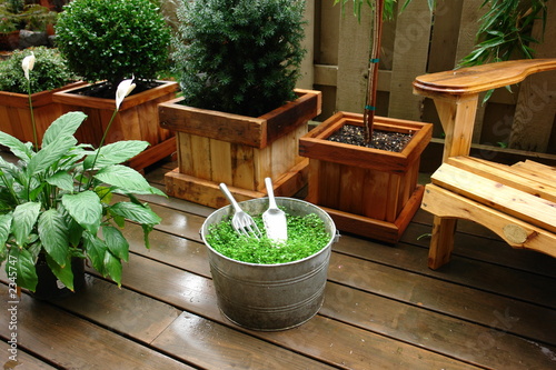 garden