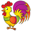cock
