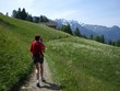 quer durch die wiese