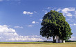 bildstock bei hohenruppersdorf im weinviertel bildstock bei hohenruppersdorf im weinviertel