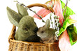 easter