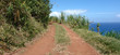 chemin de terre rouge