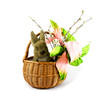 easter