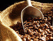 coffee coffee