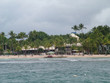 palmen strand in der karibik palmen strand in der karibik