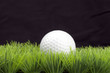 Foto: golfball on fairway golfball on fairway