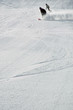 two snowboarders carving #2