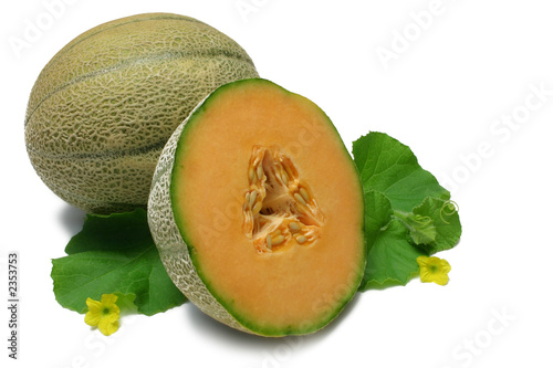 Photo: cantaloupe cantaloupe