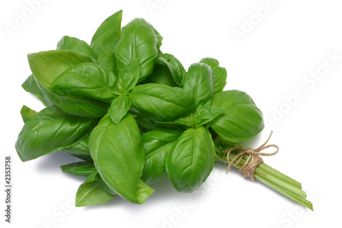 sweet basil