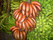 rote bananen são tomé,